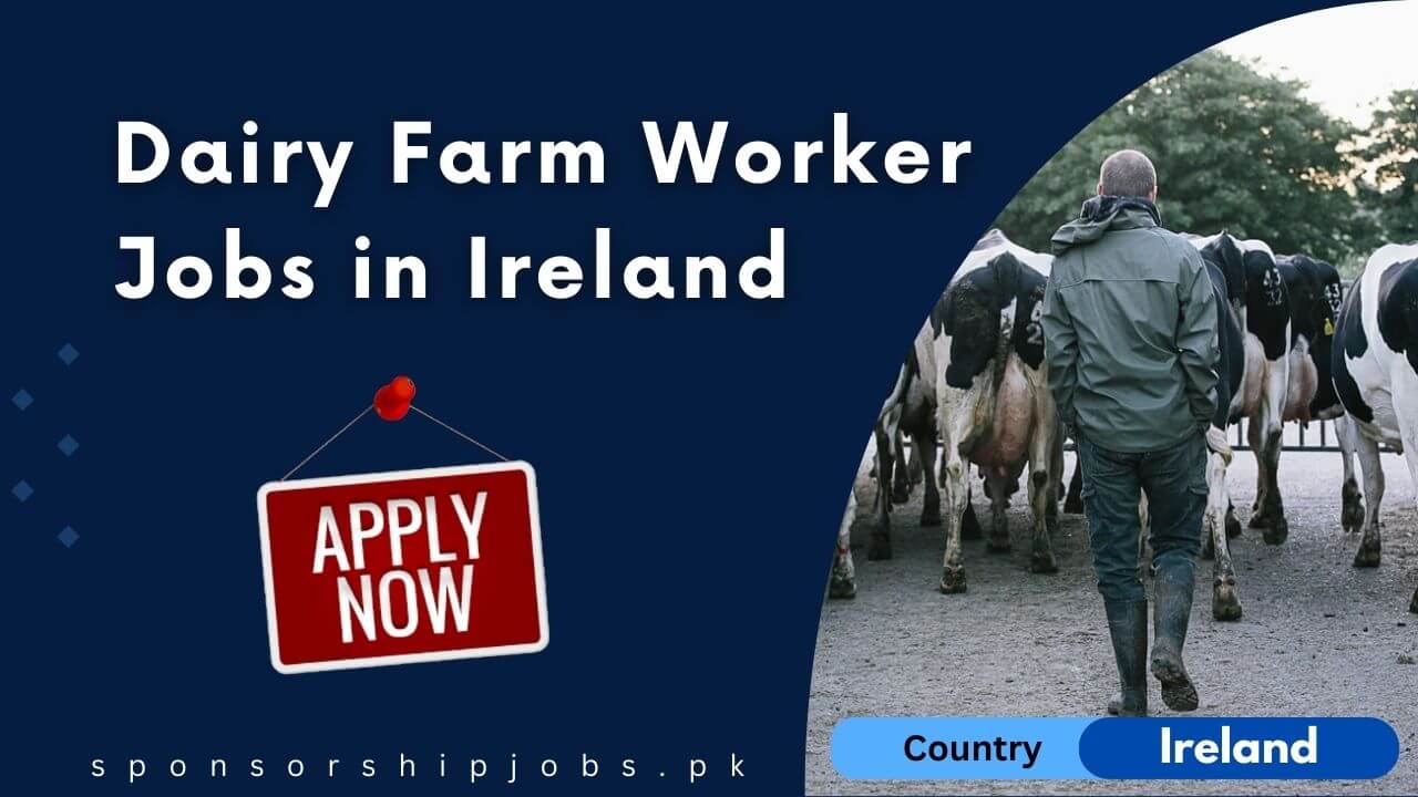 Dairy Farm Worker Jobs in Ireland