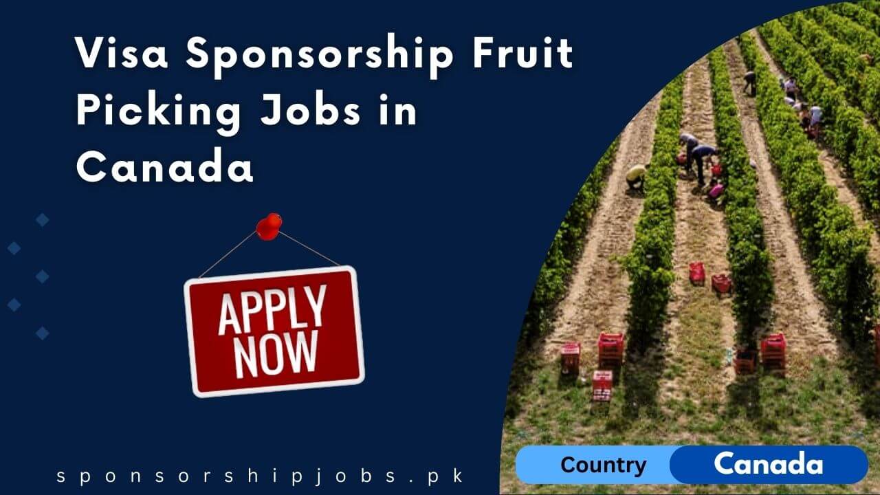 Visa Sponsorship Fruit Picking Jobs in Canada