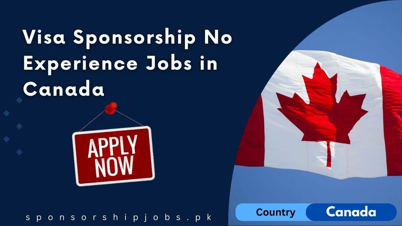 Visa Sponsorship No Experience Jobs in Canada