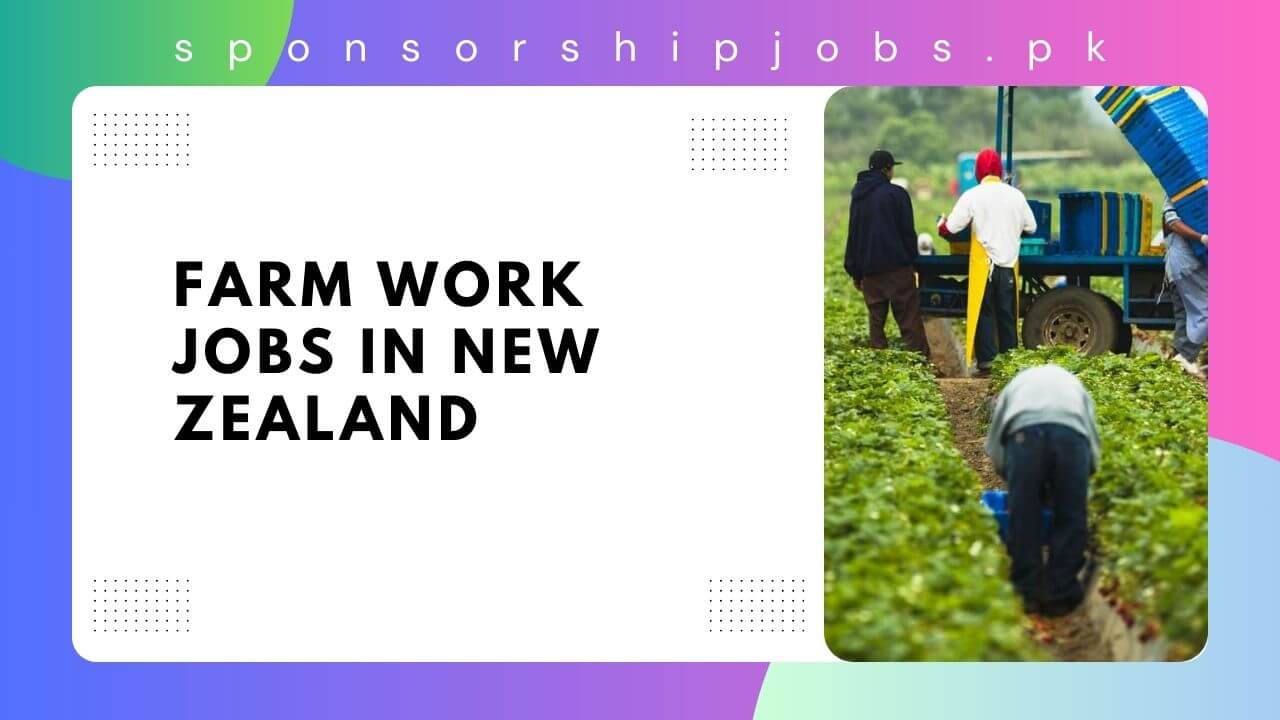 Farm Work Jobs in New Zealand