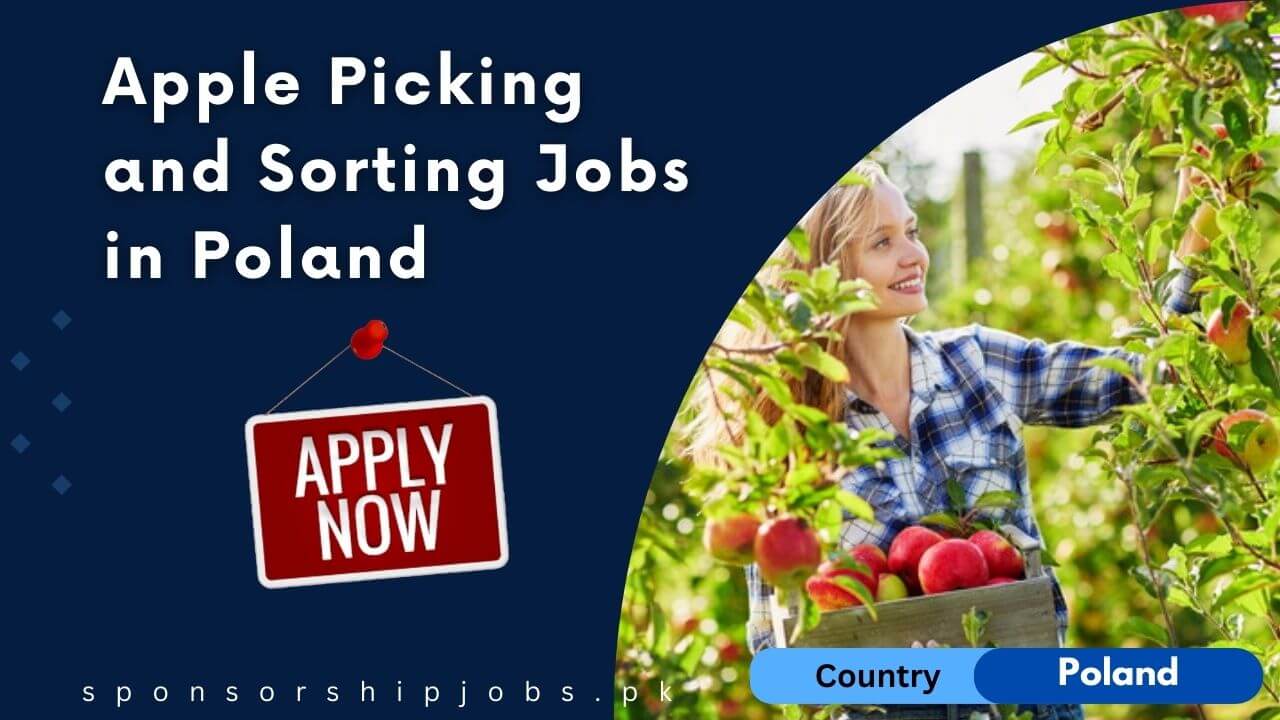 Apple Picking and Sorting Jobs in Poland