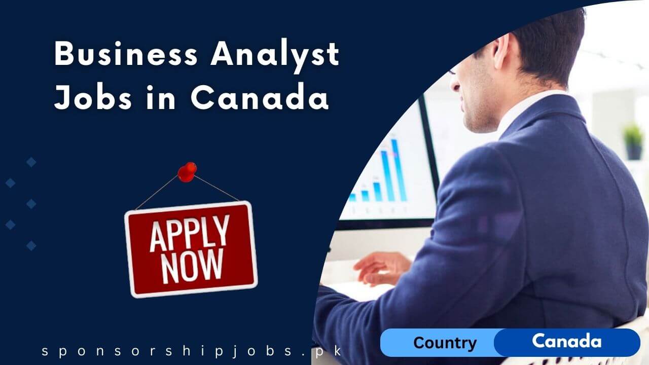 Business Analyst Jobs in Canada