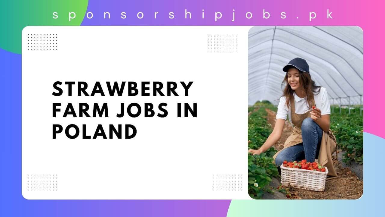 Strawberry Farm Jobs in Poland