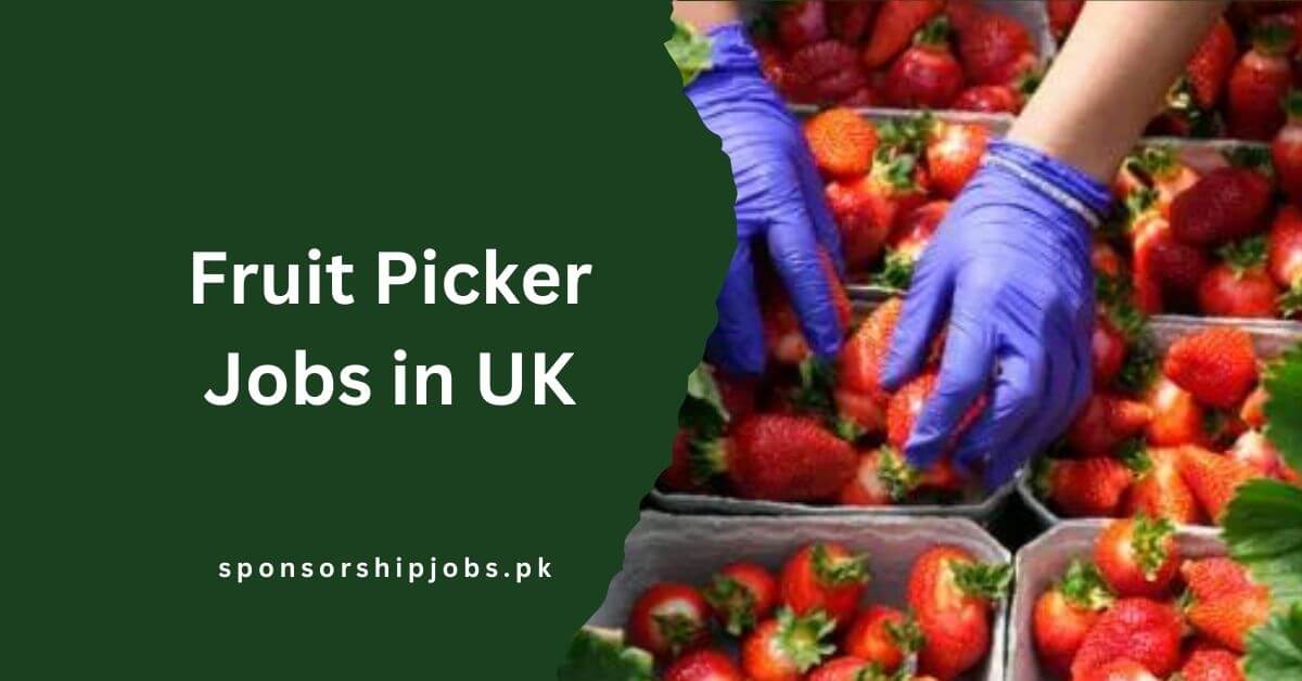 Fruit Picker Jobs in UK