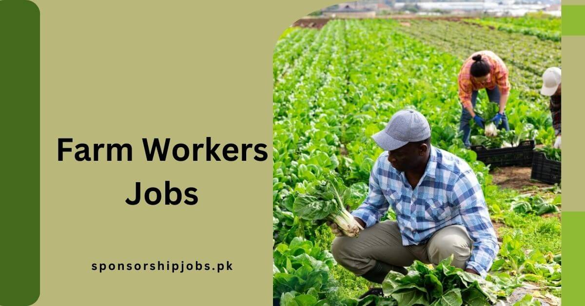 Farm Workers Jobs