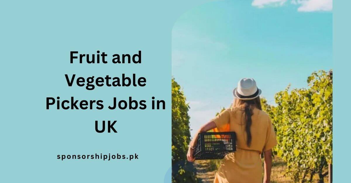 Fruit and Vegetable Pickers Jobs in UK