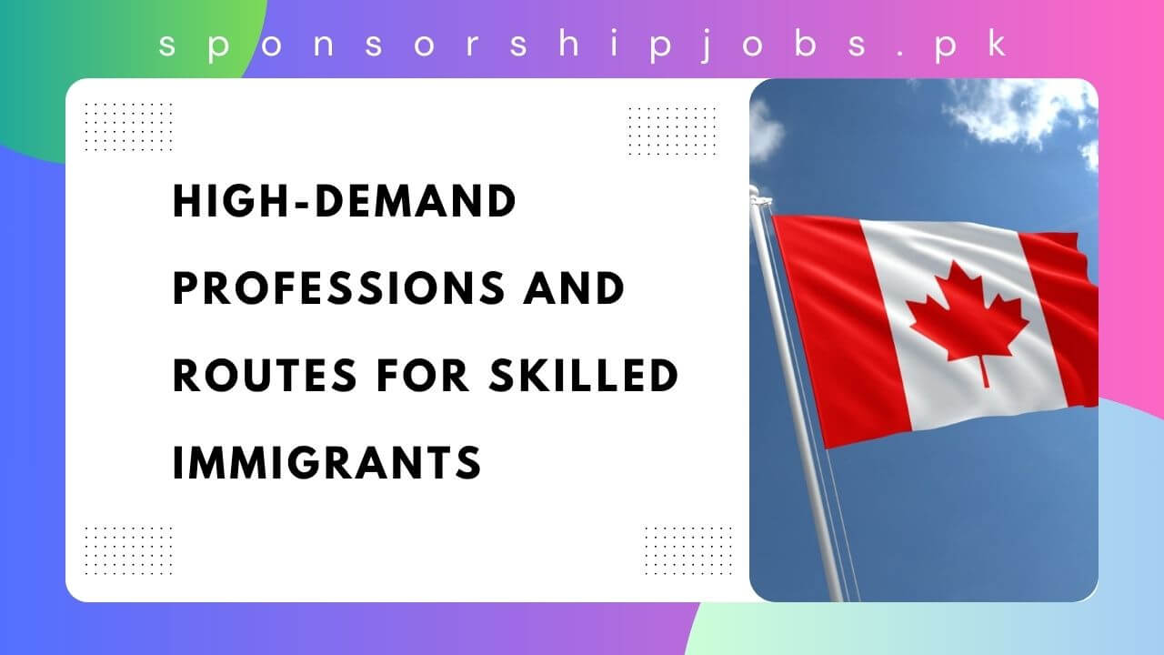 High-Demand Professions and Routes for Skilled Immigrants