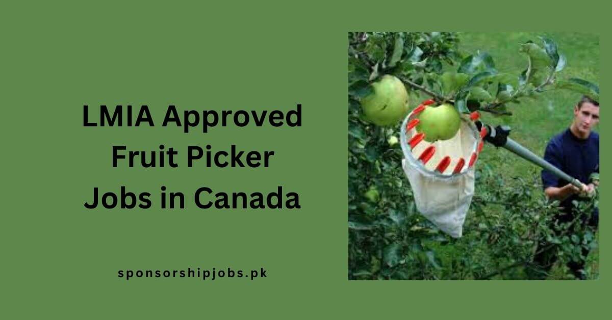 LMIA Approved Fruit Picker Jobs in Canada