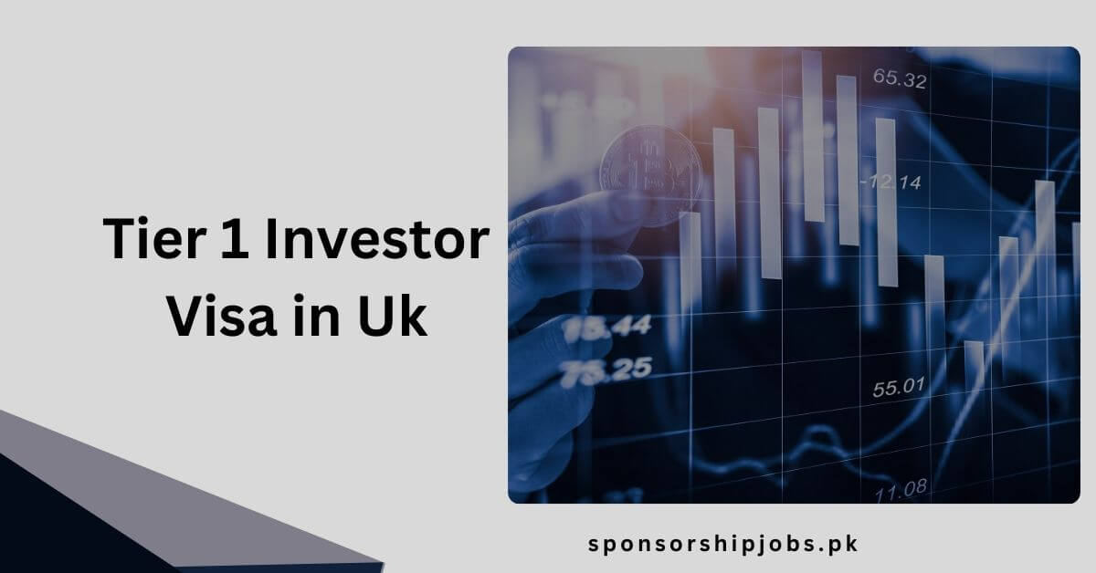 Tier 1 Investor Visa in Uk