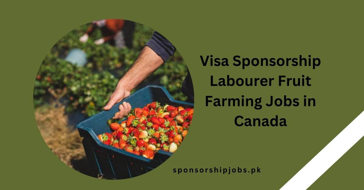 Visa Sponsorship Labourer Fruit Farming Jobs in Canada