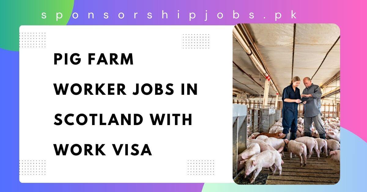 Pig Farm Worker Jobs in Scotland with Work Visa