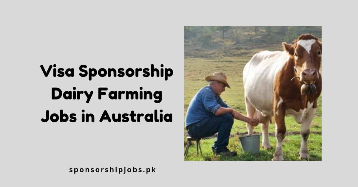 Visa Sponsorship Dairy Farming Jobs in Australia