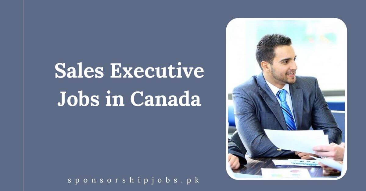Sales Executive Jobs in Canada