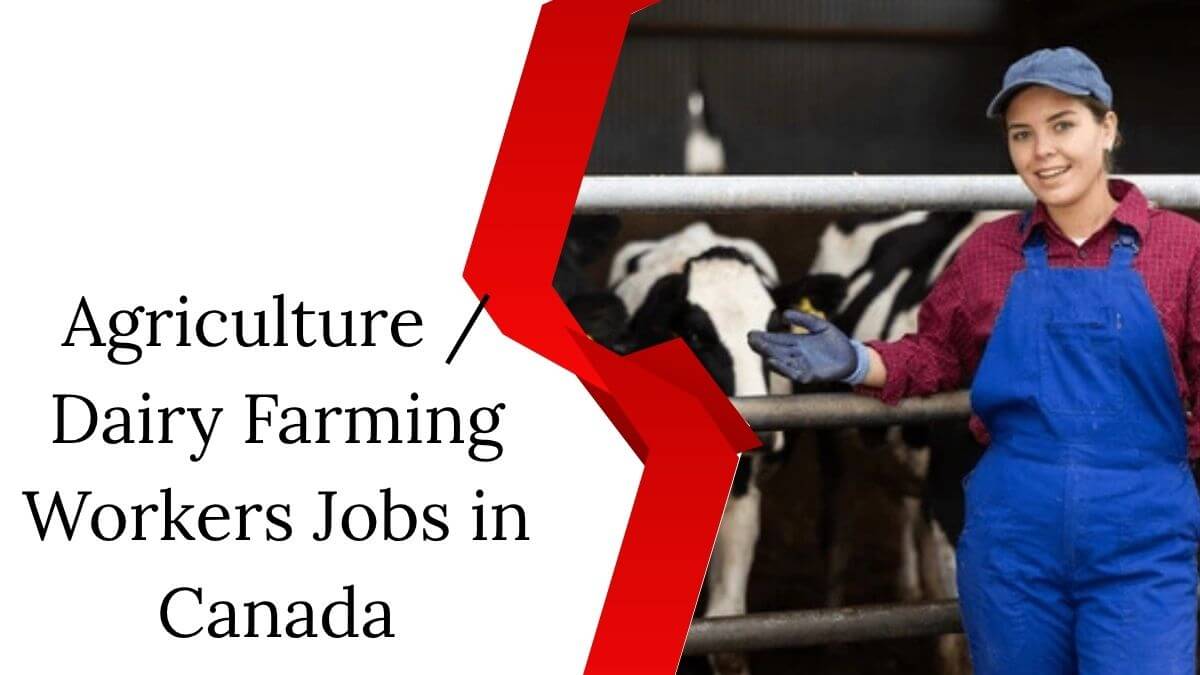 Agriculture Dairy Farming Workers Jobs in Canada