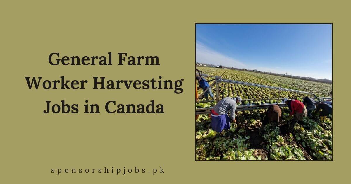 General Farm Worker Harvesting Jobs in Canada