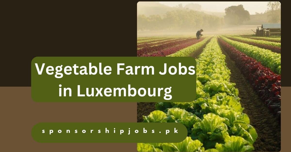Vegetable Farm Jobs in Luxembourg