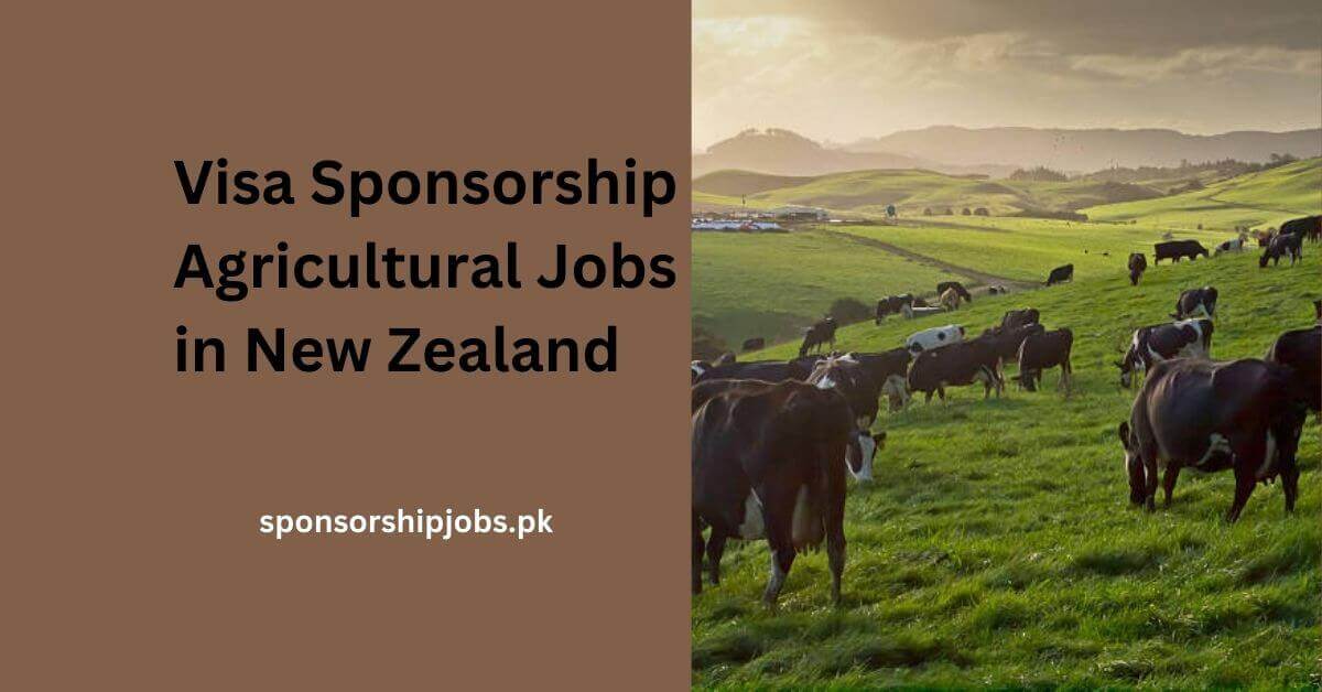 Visa Sponsorship Agricultural Jobs in New Zealand
