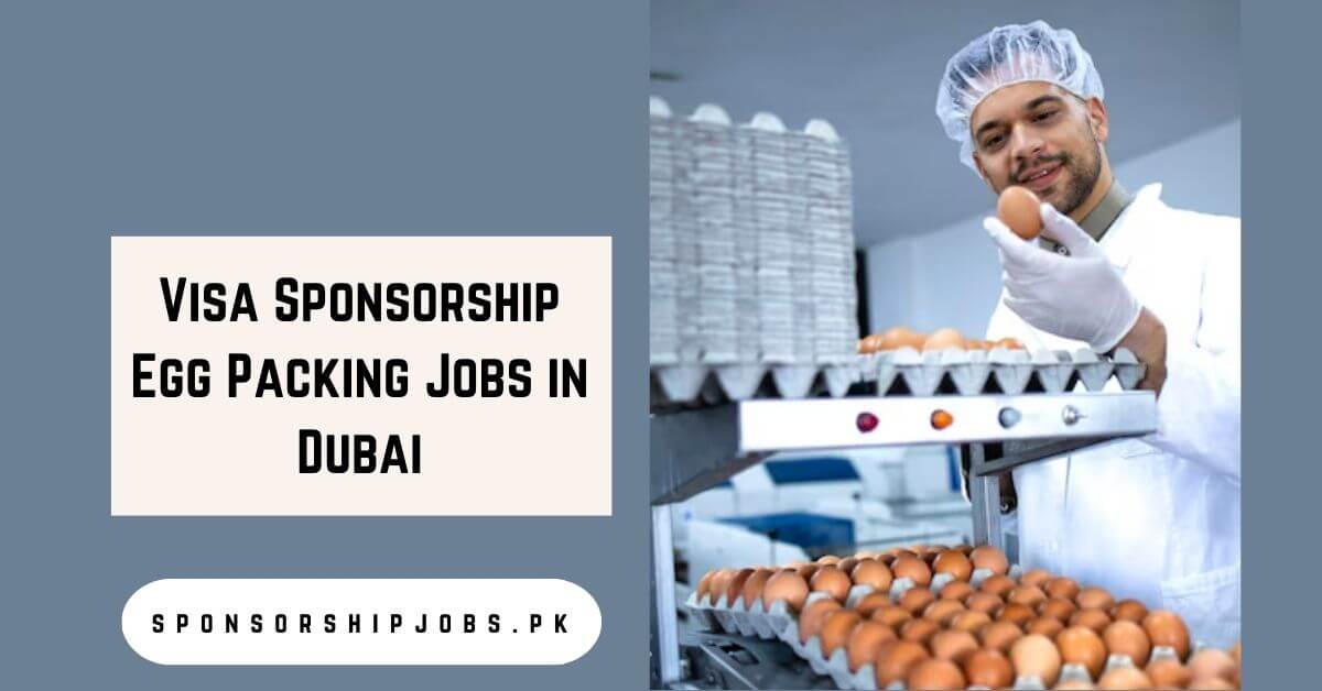 Visa Sponsorship Egg Packing Jobs in Dubai