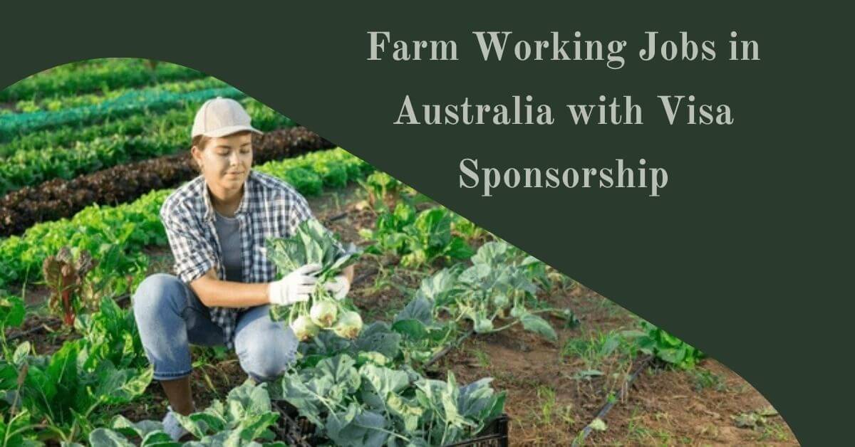 Farm Working Jobs in Australia with Visa Sponsorship