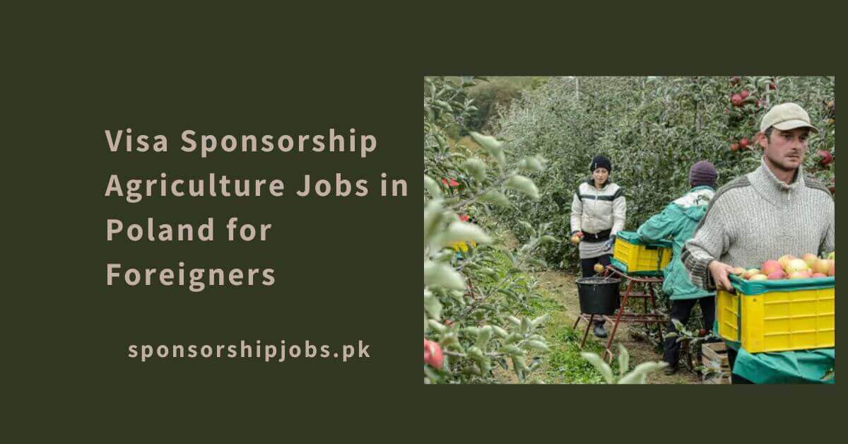 Visa Sponsorship Agriculture Jobs in Poland for Foreigners