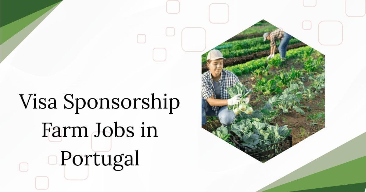 Visa Sponsorship Farm Jobs in Portugal