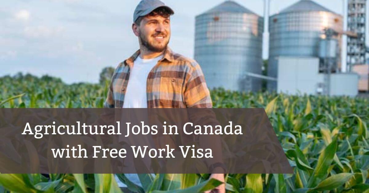 Agricultural Jobs in Canada with Free Work Visa