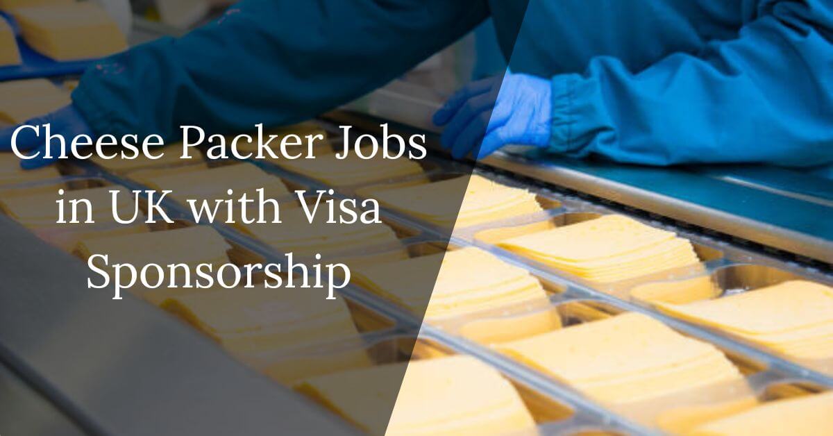 Cheese Packer Jobs in UK with Visa Sponsorship