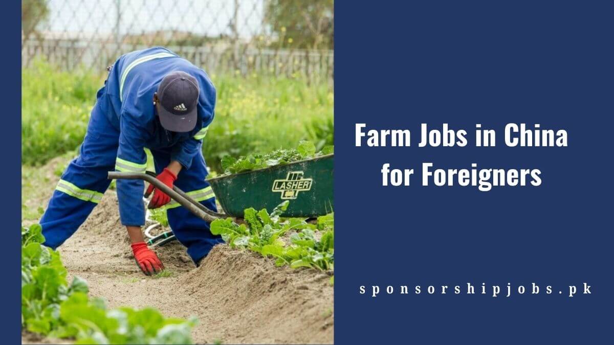 Farm Jobs in China for Foreigners