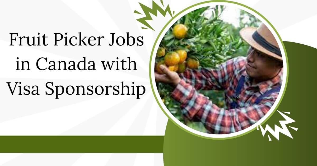 Fruit Picker Jobs in Canada with Visa Sponsorship