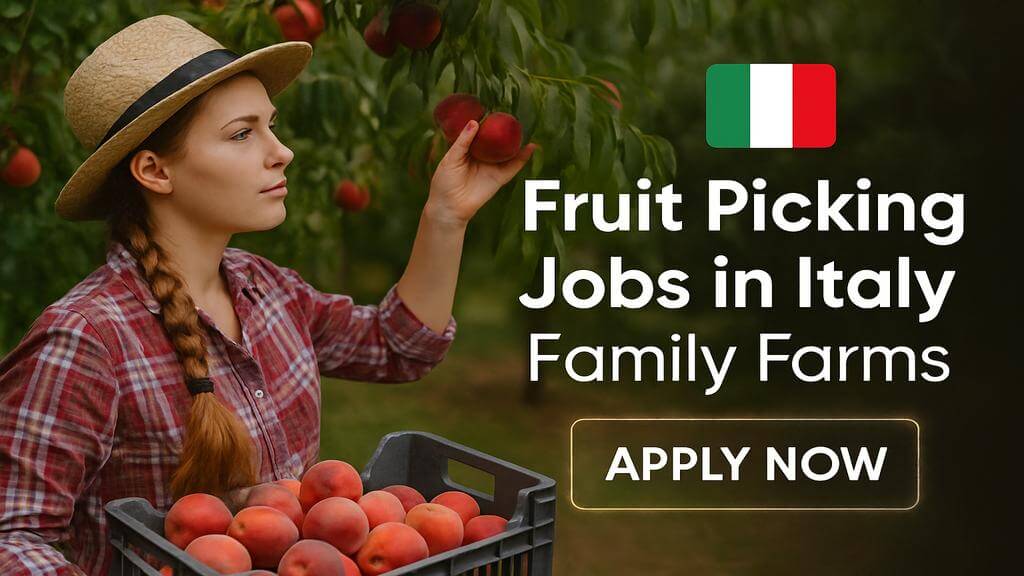 Fruit Picking Jobs in Italy Family Farms