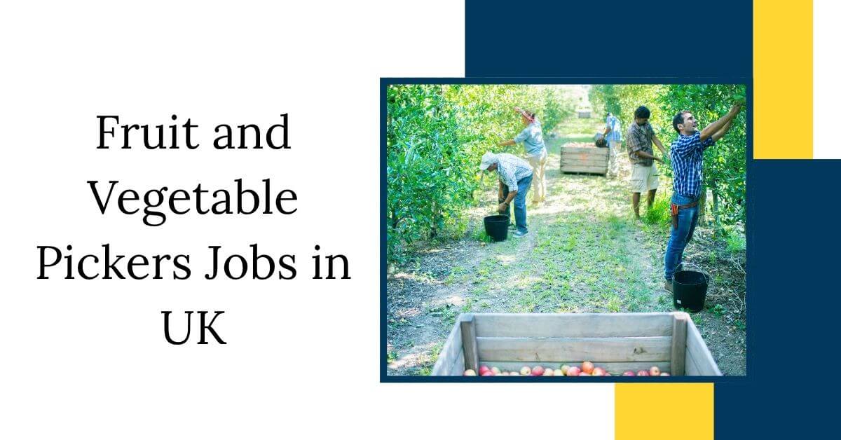 Fruit and Vegetable Pickers Jobs in UK