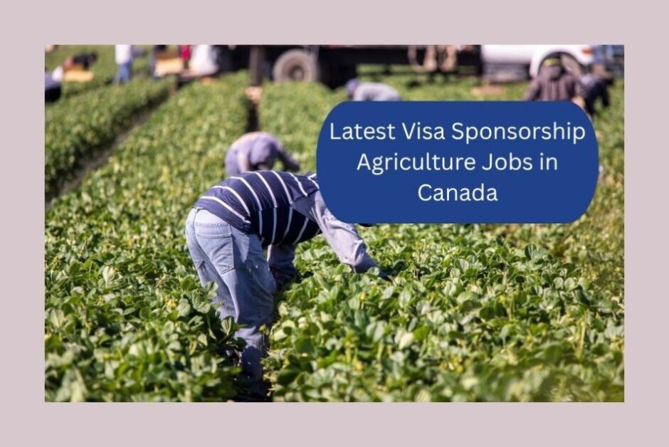 Latest Visa Sponsorship Agriculture Jobs in Canada