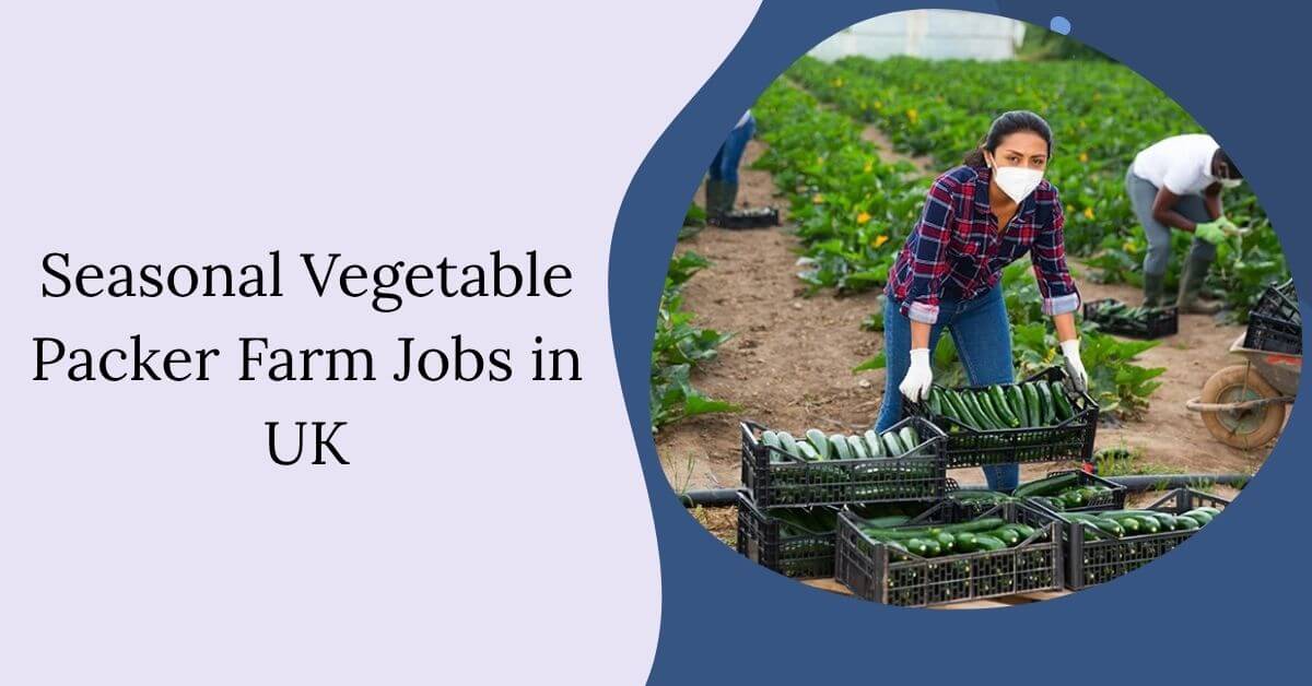 Seasonal Vegetable Packer Farm Jobs in UK