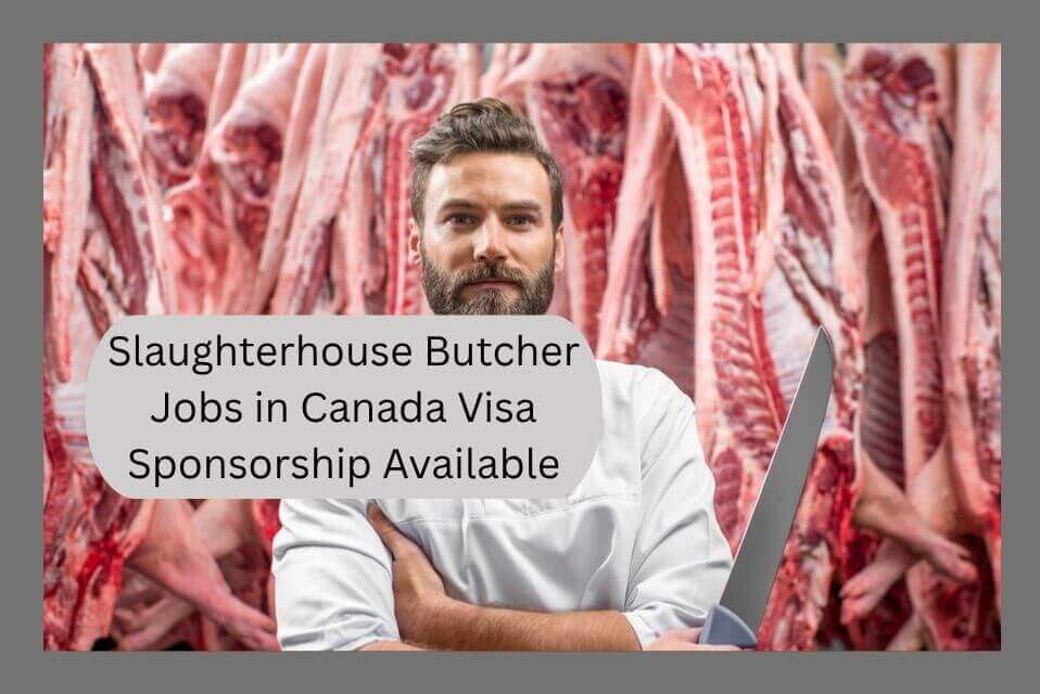 Slaughterhouse Butcher Jobs in Canada Visa Sponsorship Available