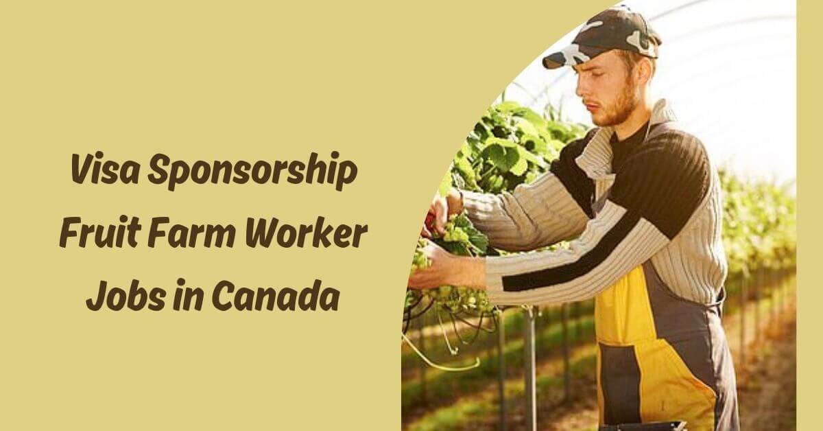 Visa Sponsorship Fruit Farm Worker Jobs in Canada