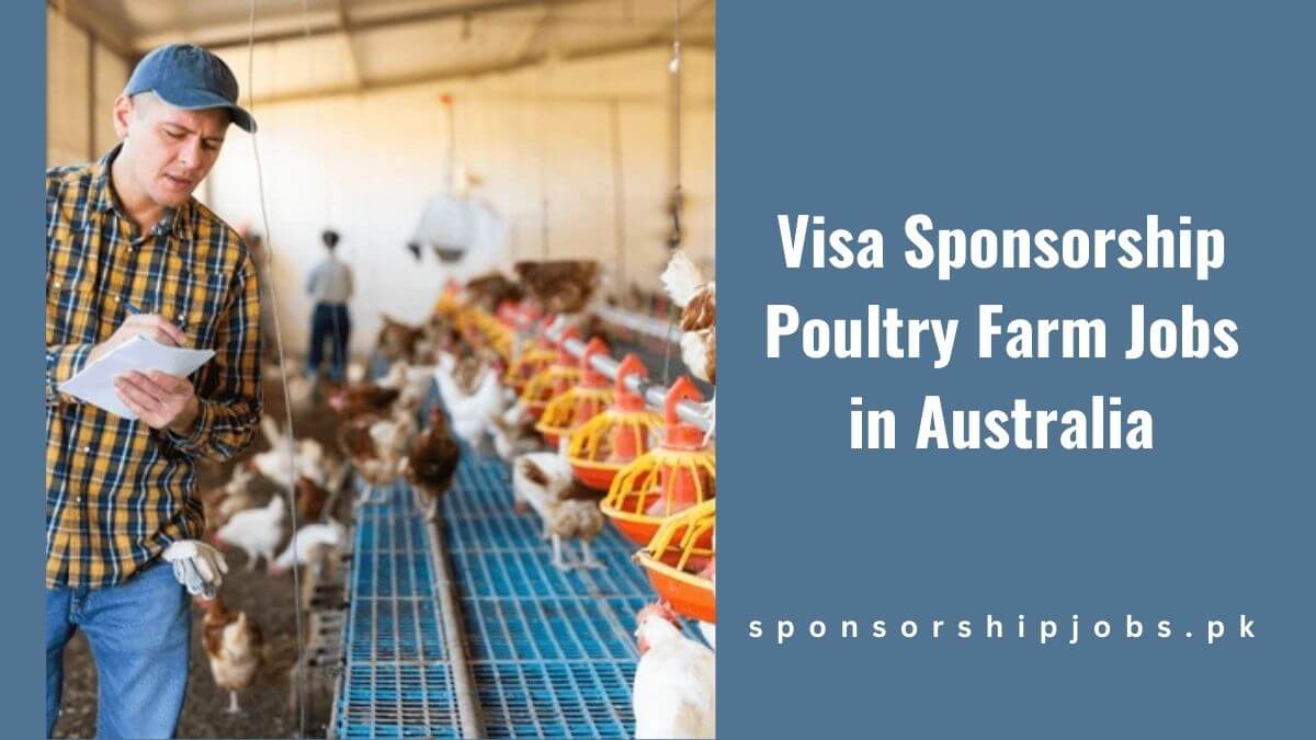 Visa Sponsorship Poultry Farm Jobs in Australia