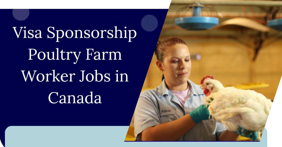 Visa Sponsorship Poultry Farm Worker Jobs in Canada