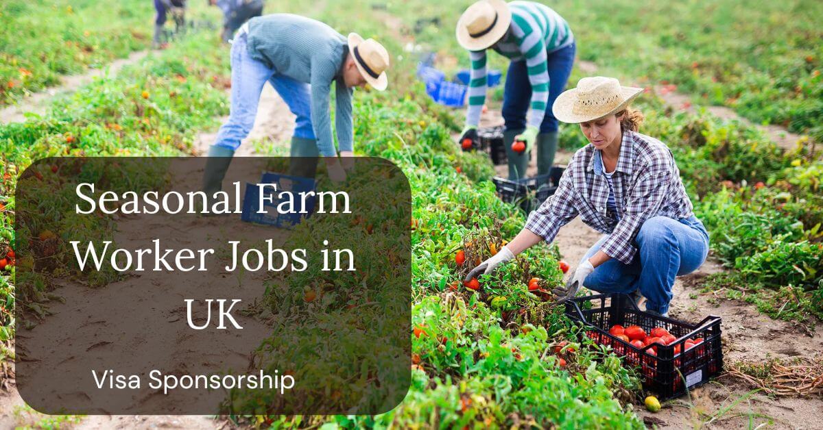 Seasonal Farm Worker Jobs in UK