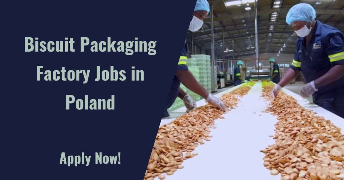 Biscuit Packaging Factory Jobs in Poland