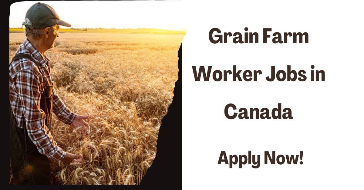 Grain Farm Worker Jobs in Canada