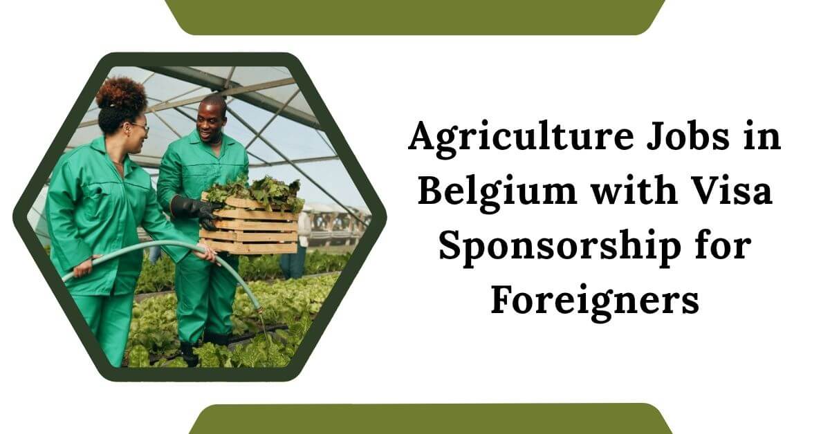 Agriculture Jobs in Belgium with Visa Sponsorship for Foreigners