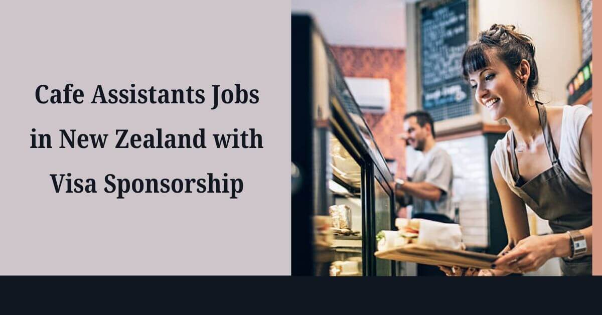 Cafe Assistants Jobs in New Zealand with Visa Sponsorship