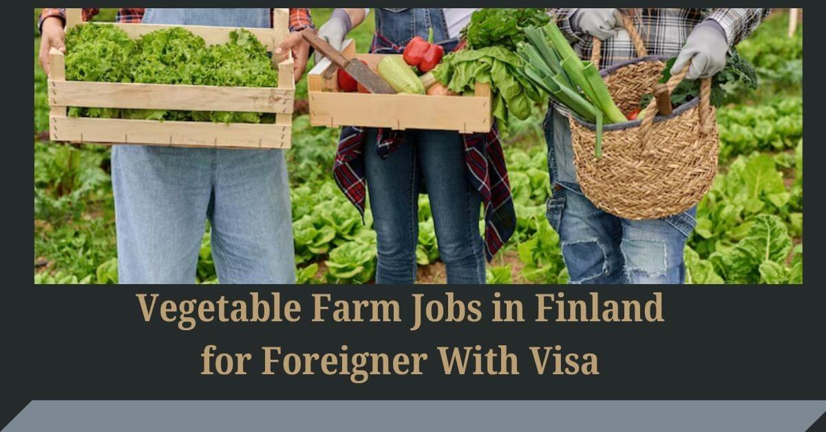 Vegetable Farm Jobs in Finland for Foreigner With Visa
