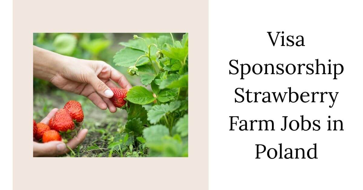 Visa Sponsorship Strawberry Farm Jobs in Poland