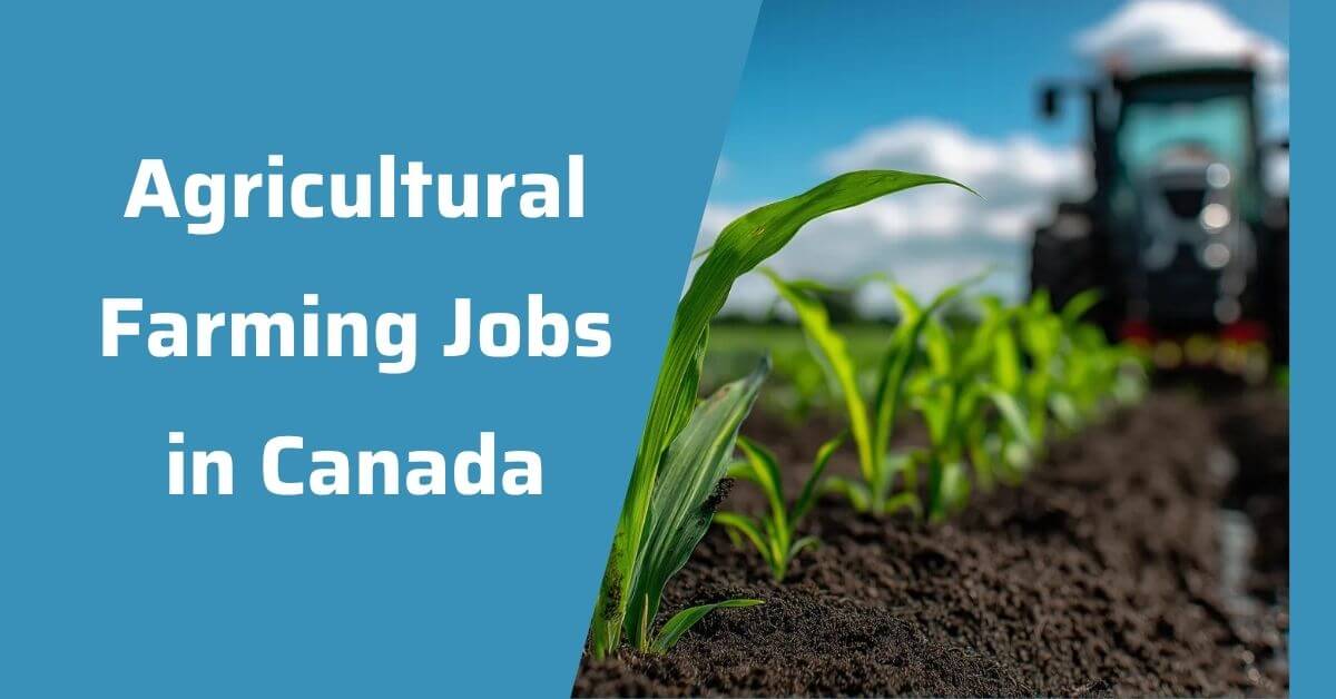 Agricultural Farming Jobs in Canada