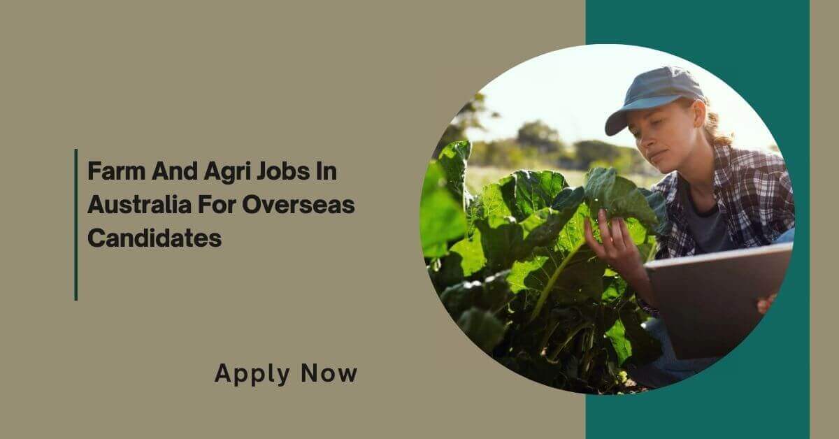 Farm And Agri Jobs In Australia For Overseas Candidates