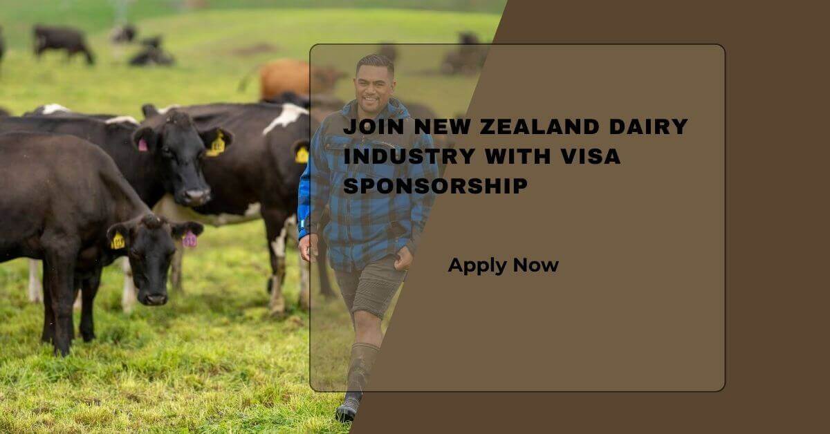 Join New Zealand Dairy Industry With Visa Sponsorship