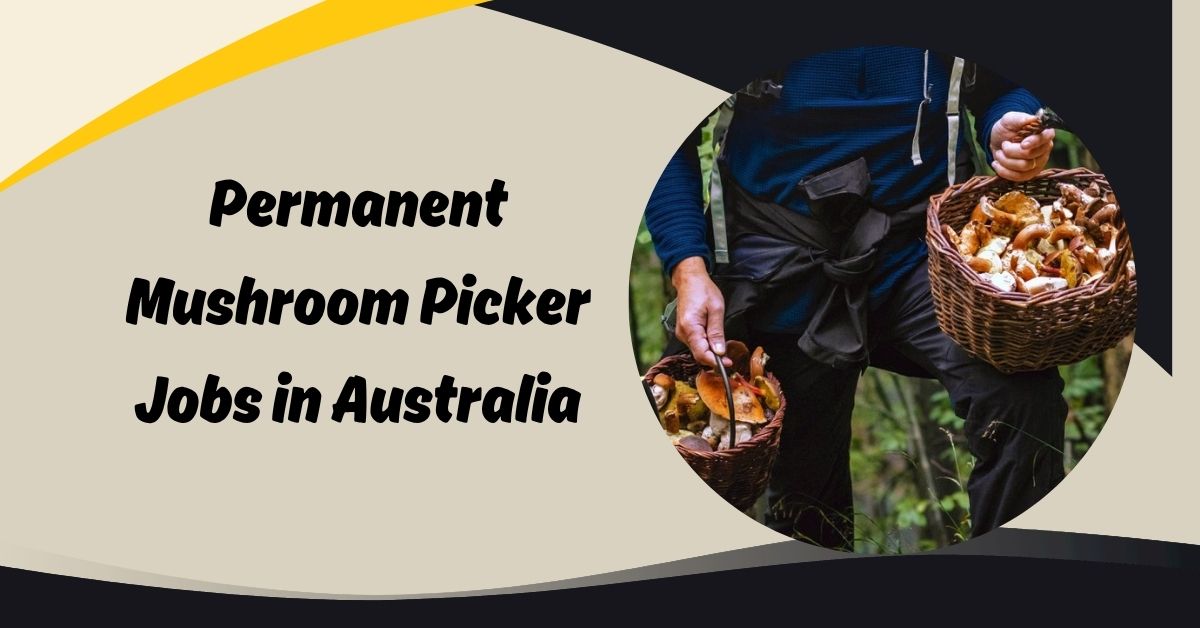 Permanent Mushroom Picker Jobs in Australia