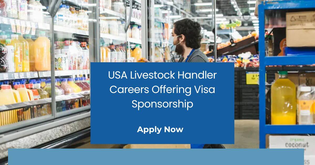 USA Livestock Handler Careers Offering Visa Sponsorship