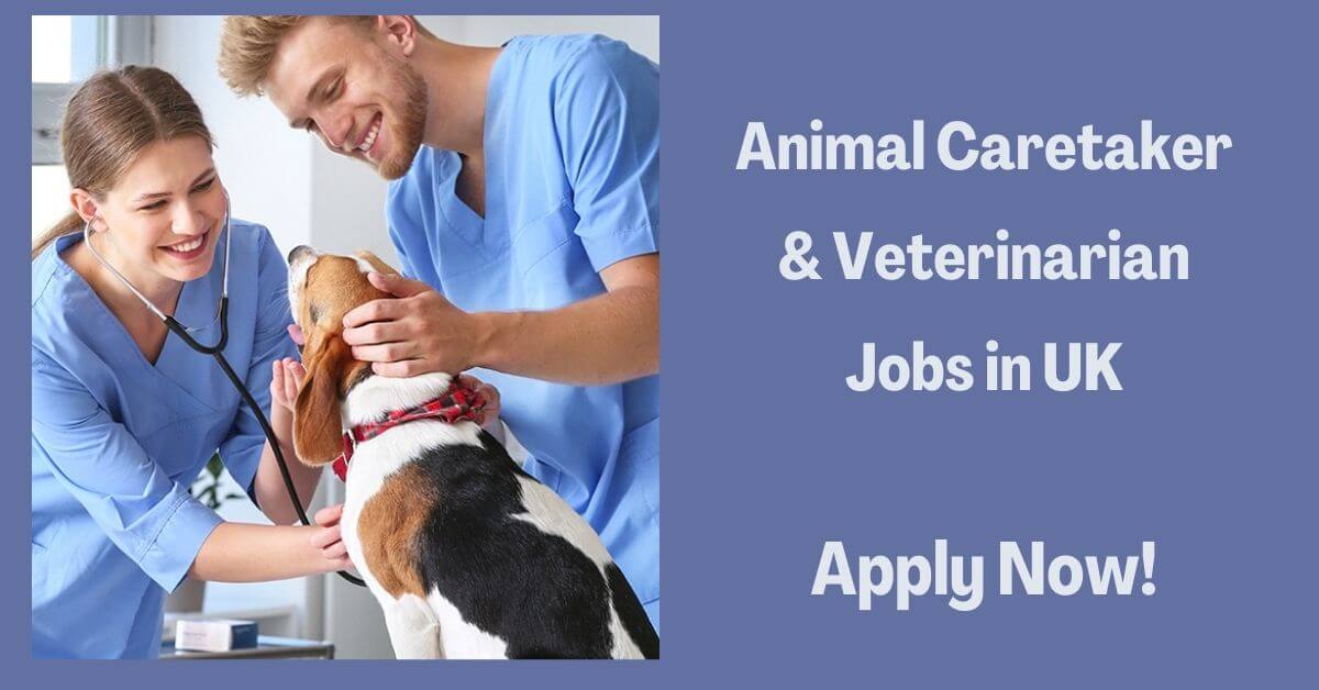 Animal Caretaker & Veterinarian Jobs in UK